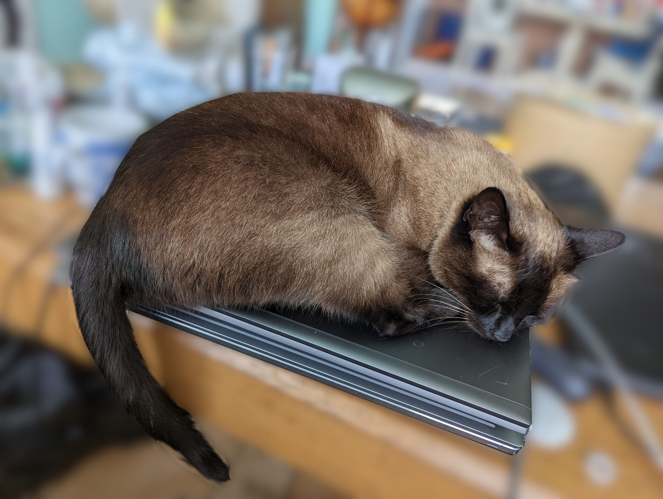 zbook_kepler